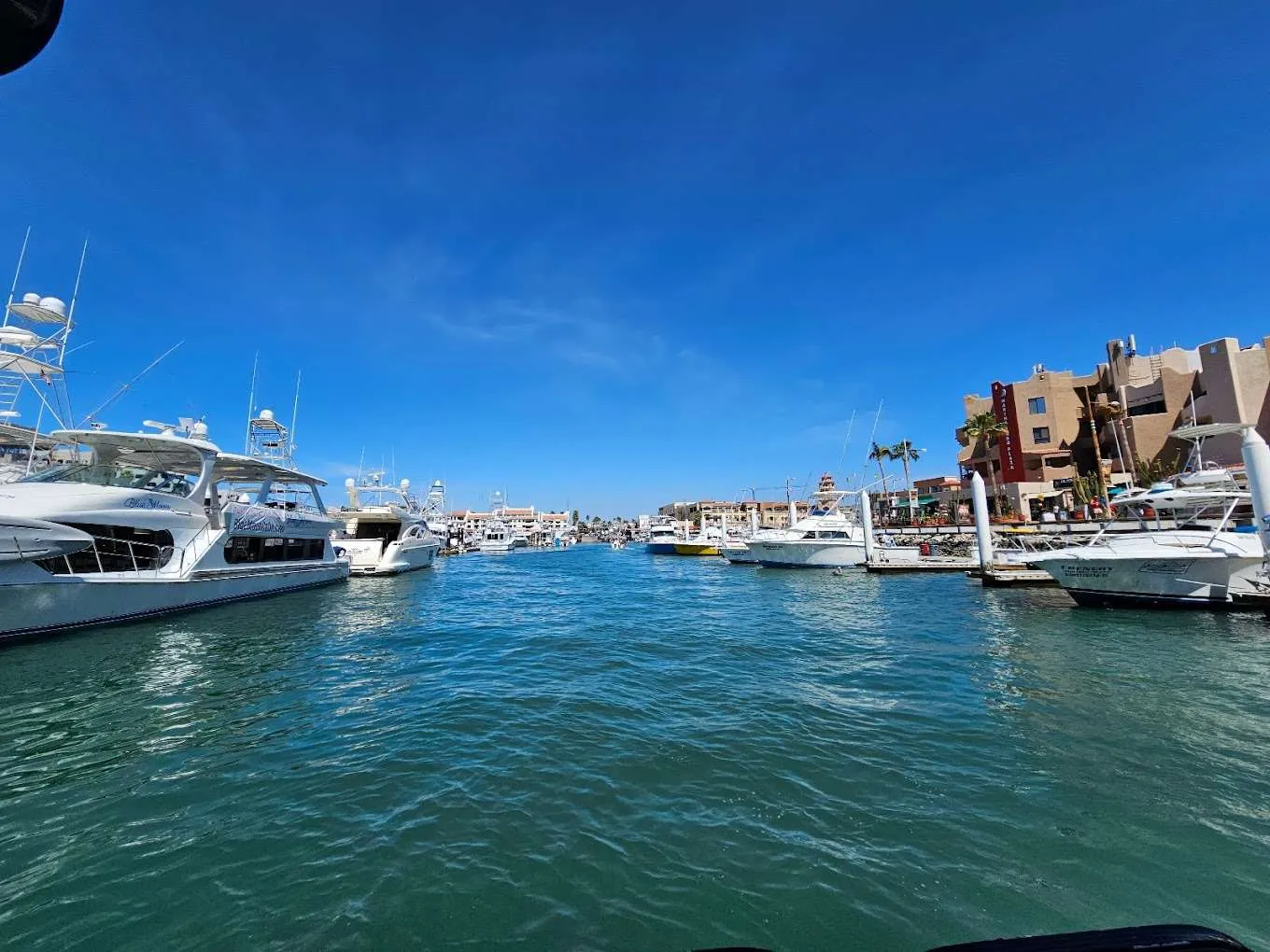 Marina-Cabo-plaza